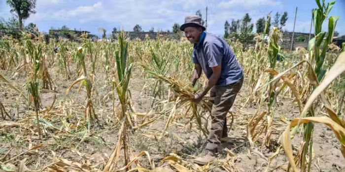Climate Action or Development Needs?: Africa Faces Tough Choice as Global Carbon Budget Nears Exhaustion